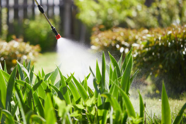 24/7 Emergency Fumigation Services experts in Lambertville, NJ