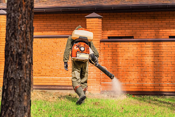 Trusted Emergency Pest Control service in Lambertville, NJ - Nex Pest Control